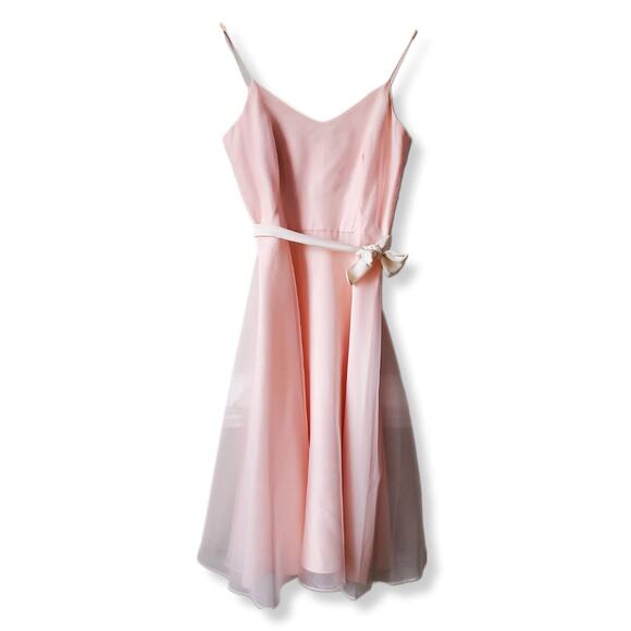 Vtg 50s Fit Flare Baby Pink Organza Picnic Dress S Ballerina Romantic Delicate